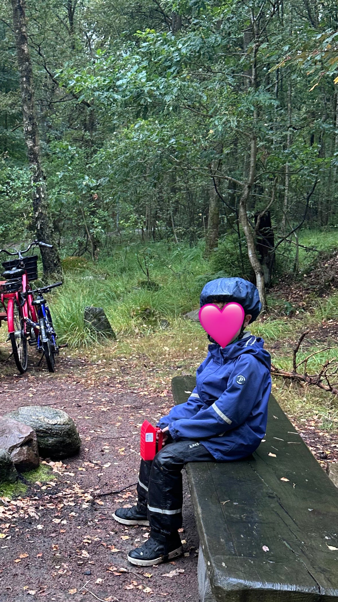 The Bicycle Helmet Cover