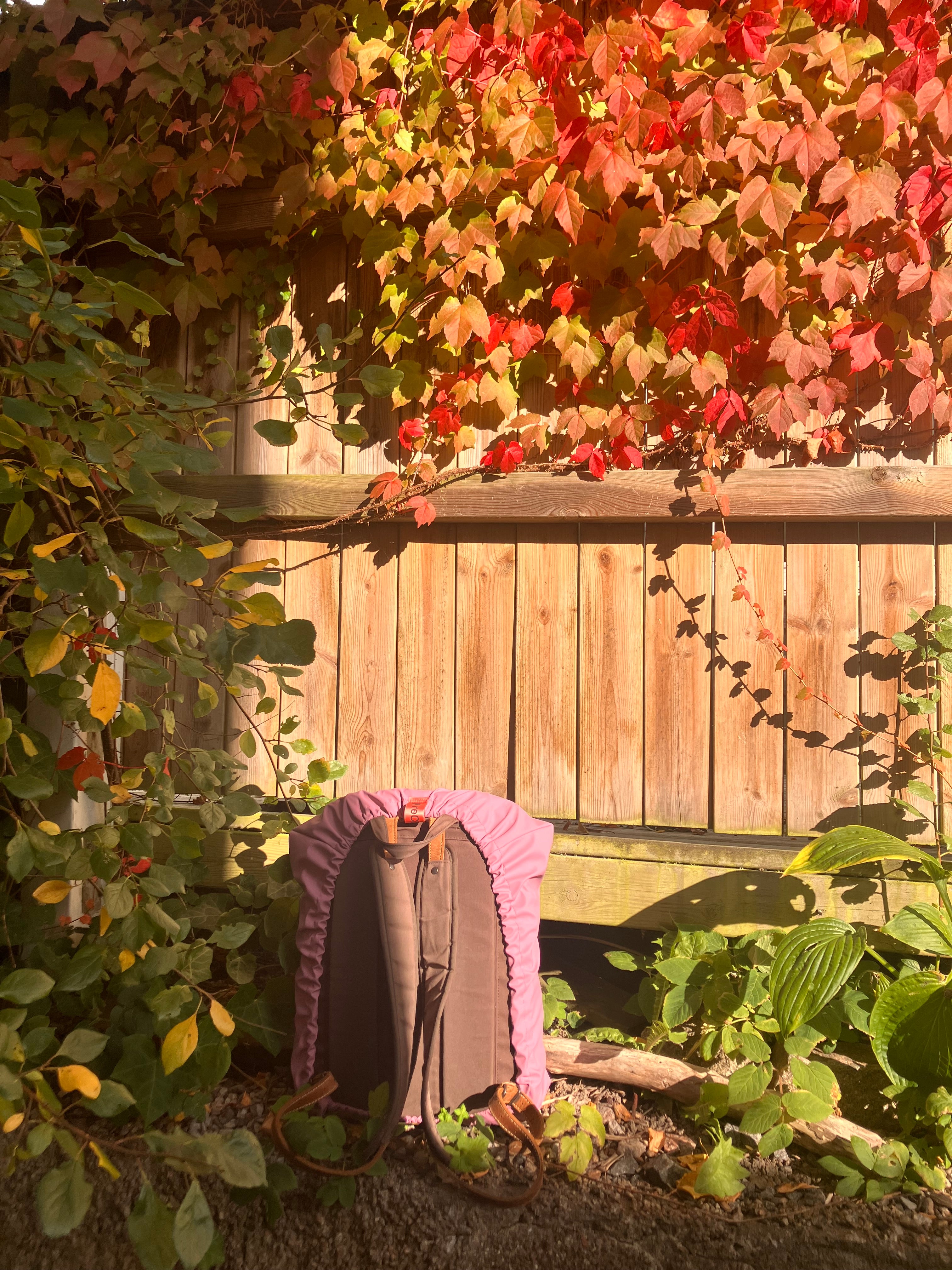 The Backpack Cover · rainwear edition
