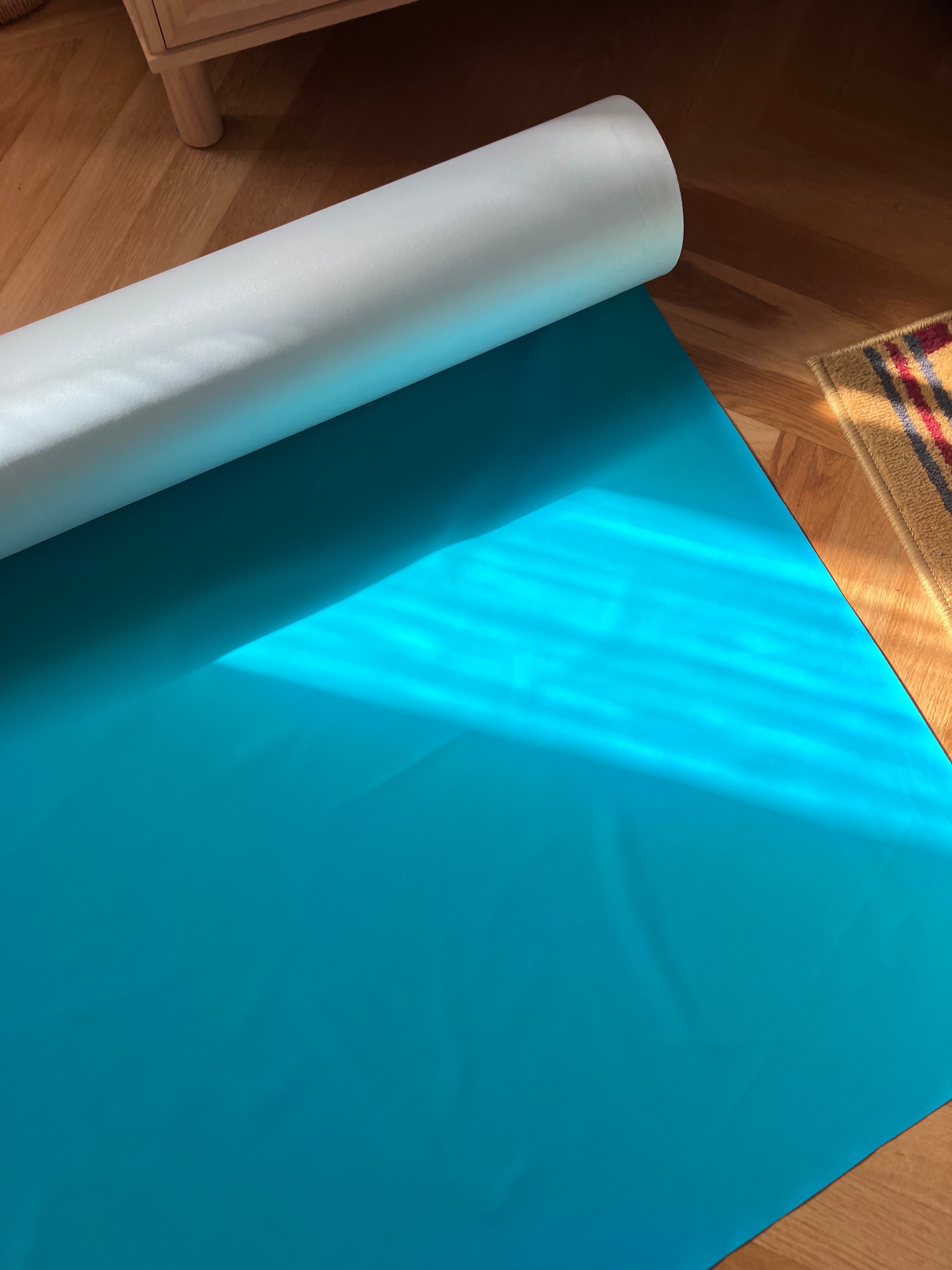 The Shoe Cover · light blue